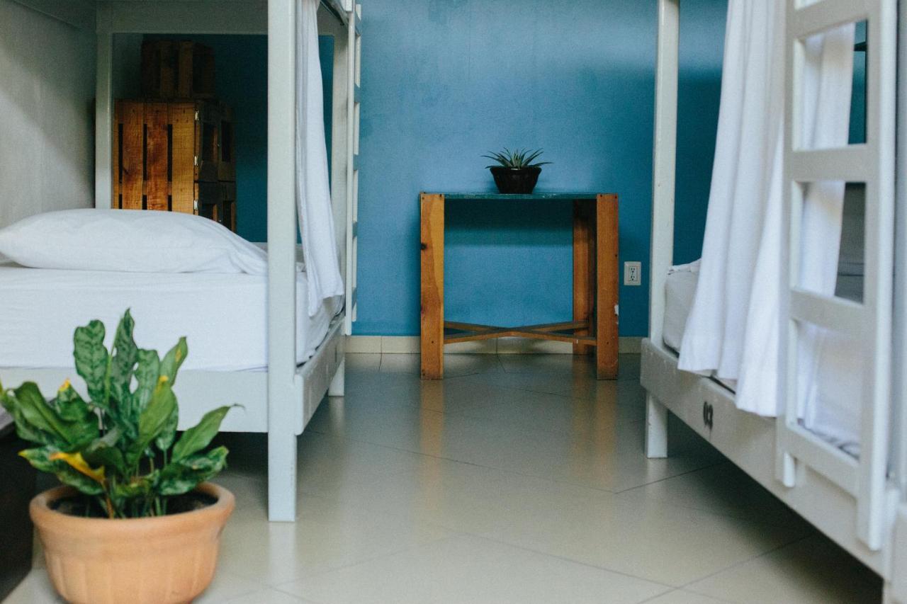 Puerto Dreams H Hostel Puerto Escondido  Luaran gambar